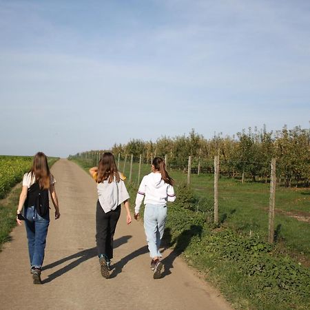 Hoeve Jadoul Gingelom エクステリア 写真