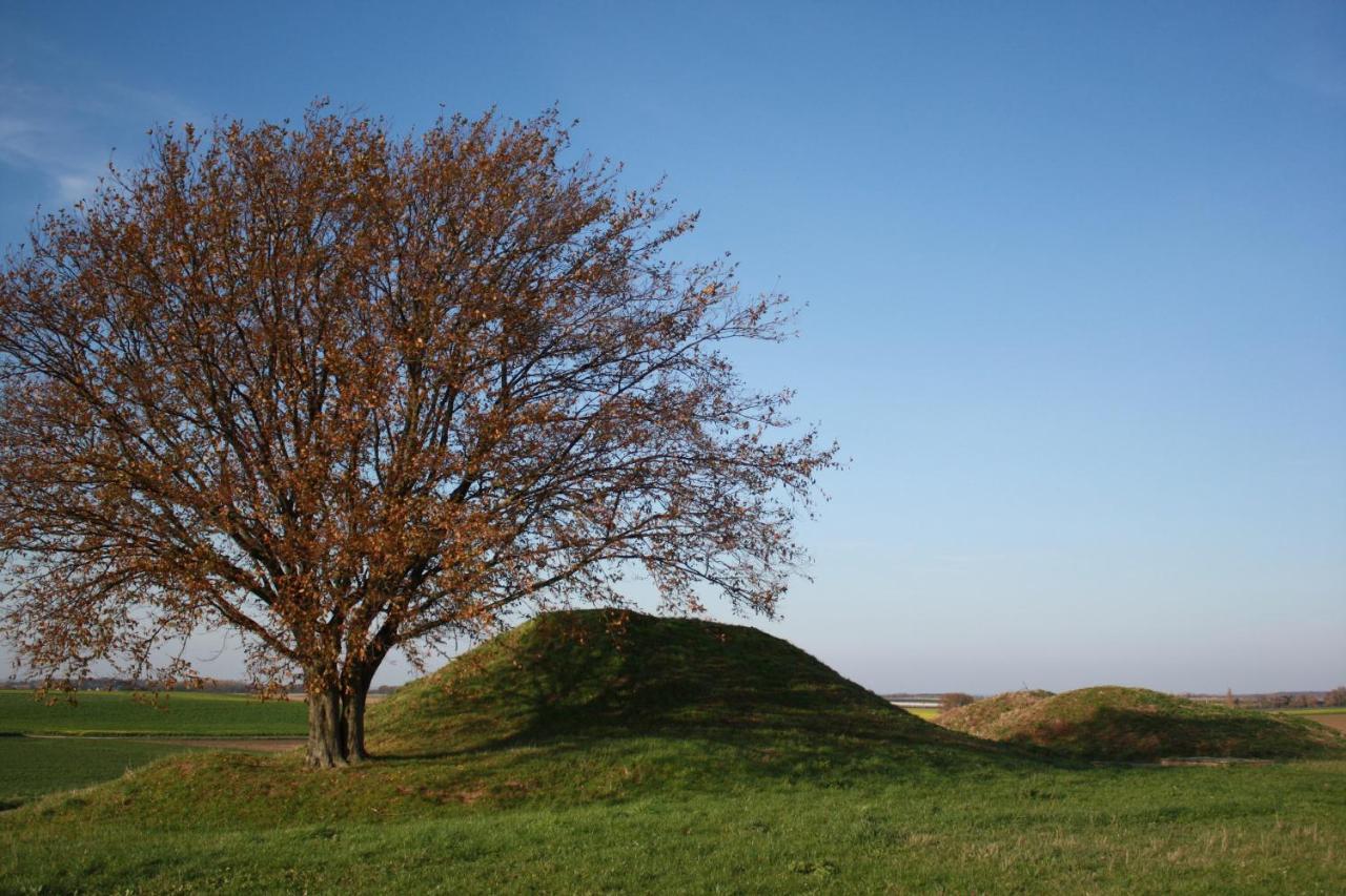 Hoeve Jadoul Gingelom エクステリア 写真