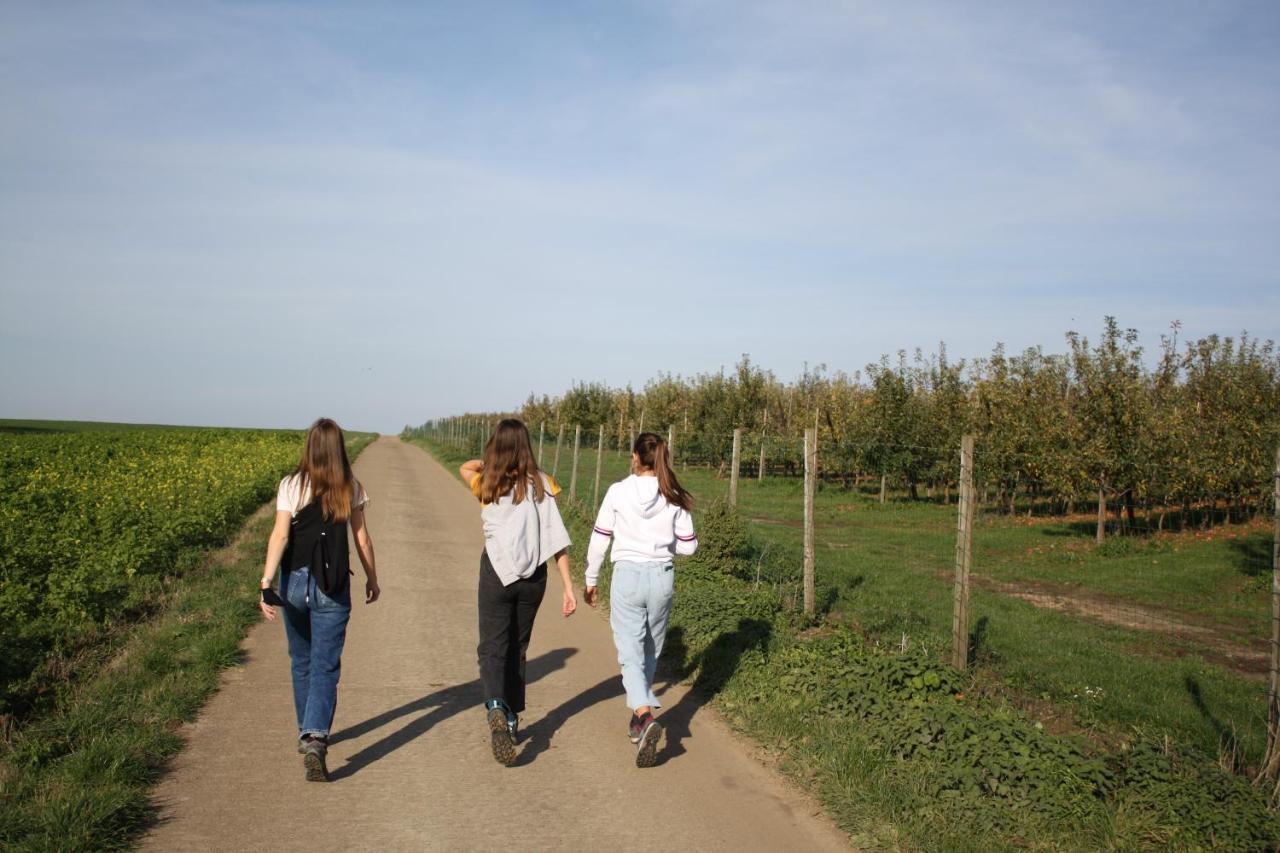 Hoeve Jadoul Gingelom エクステリア 写真